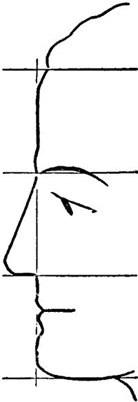 a drawing of a face with lines drawn on it