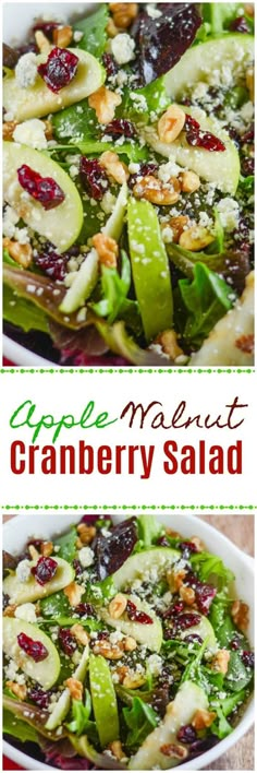 an apple and cranberry salad in a white bowl with the title above it