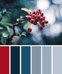 the color scheme is red, blue and green with berries on it's branches