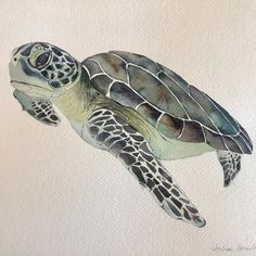 a watercolor painting of a sea turtle