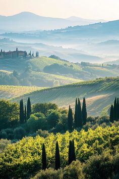 the rolling hills and valleys are dotted with trees, shrubs, and grass in this photo