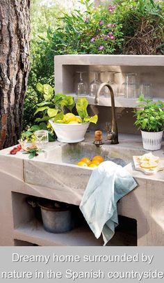 a sink in the middle of a garden