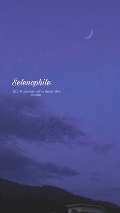 the sky is purple and there are birds flying in front of it, with an advertisement for selenophile