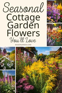 A seasonal guide to 14 cottage garden flowers to plant throughout spring, summer, and fall. Learn which flowers thrive each season to create a picture-perfect cottage garden that bursts with color from early spring blooms to fall perennials. Ideal for seasonal planning and year-round enjoyment. Cottage Garden Flowers, Garden Pest Control, Spring Breeze, Charming Garden, Mosaic Garden, Seasonal Garden, How To Grow Taller, Garden Borders, Garden Pests