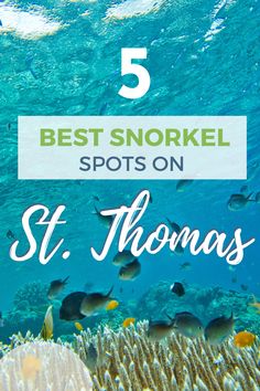 the top 5 best snorkel spots on st thomas's island with text overlay