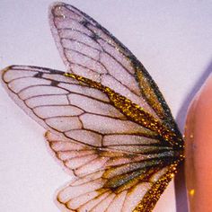 a close up of a butterfly on a person's finger with gold glitters