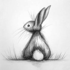 a pencil drawing of a rabbit sitting in the grass