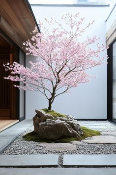 a bonsai tree with pink flowers in a rock garden