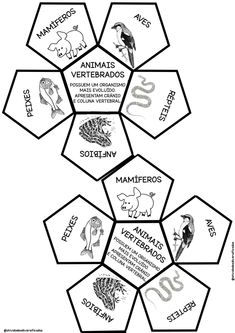 the animals and their names in different hexagonals