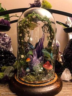 a glass clochet with plants and rocks in it sitting on a wooden table