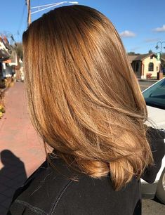 Light Brown Hair Color Ideas, Light Golden Brown Hair, Light Brown Hair Color, Golden Brown Hair Color, Brown Hair Color Ideas, Golden Brown Hair, Honey Brown Hair, Brown Hair Color, Hair Color Light Brown