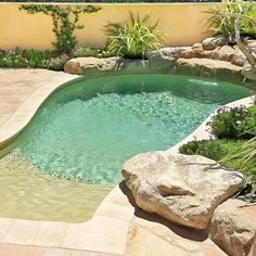 a small pool surrounded by rocks and plants