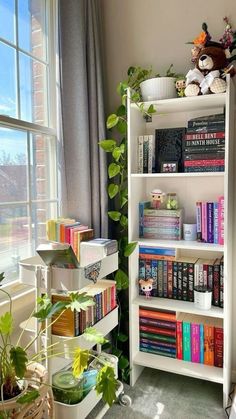 a bookshelf filled with lots of books in front of a window next to a potted plant