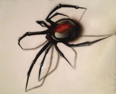 a black and red spider sitting on top of a white surface