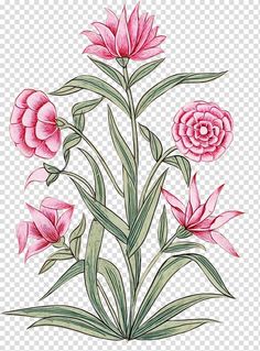 pink flowers on a white background with green leaves and stems in the center, drawn by hand