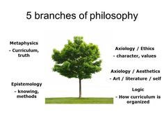 the five branches of a tree are labeled