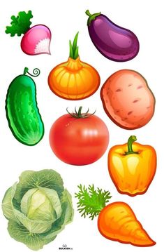 an illustration of different types of vegetables on a white background