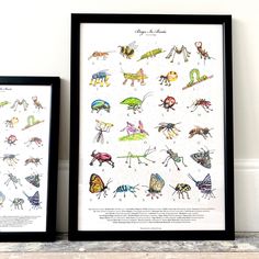 A beautiful, unique hand drawn poster with 26 bugs. Each bug lovingly hand drawn with their own personality and wearing their own unique boots! An educational alphabet poster with a difference. This a to z poster feeds any little ones imagination whilst learning about mini beasts and the alphabet!
Available in size A3 and A1 Hand Drawn Poster, Mini Beasts, Alphabet Posters, Unique Boots, London Artist