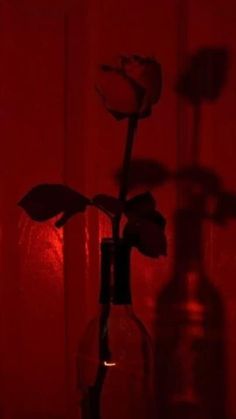 a single rose in a glass vase with red light coming through the window behind it