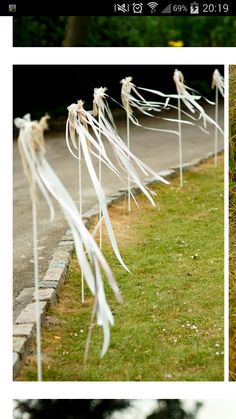 two pictures with ribbons tied to them on the grass