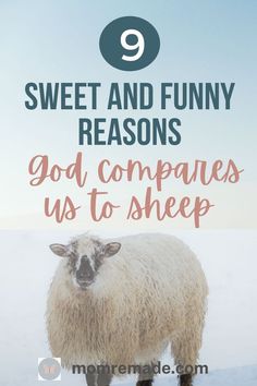 a sheep standing in the snow with text overlay saying 9 sweet and funny reasons god compares us to sheep