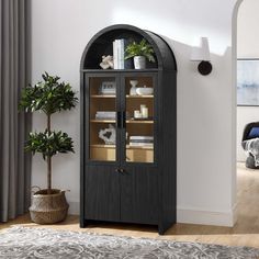 a black bookcase with glass doors in a living room next to a potted plant