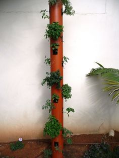 a tall orange pole with plants growing on it's sides and in front of a white wall