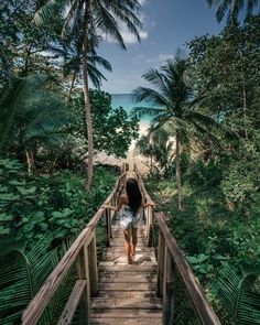 a woman walking down a wooden walkway next to the ocean on a tropical island with palm trees