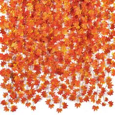 PRICES MAY VARY. 1.Our fall maple garland each garland 7 FT Long,Leaves about 3.15 inches in diameter,Each vine holds 30 leaves. 2.The fall leaves garland suitable for home decoration,Thanksgiving party,wedding decoration,fireplace,gardens,fencing,floral tributes,sheds Swing frame,etc. 3.Our garland Plants maple Leaves.Featuring wonderful,shapely leaves and fall hues,looks lifelike and will add elegance to your landscape. 4.Each of our pack contains 5 pieces of the fall maple garland vine,it tot Thanksgiving Fireplace, Wedding Fireplace, Fall Maple Leaves, Leaves Garland, Garland Wedding Decor, Fall Leaf Garland, Artificial Garland, Hanging Vines, Fall Garland