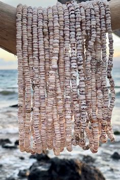 several beads hanging from a tree near the ocean