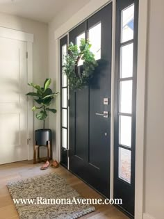 a black front door with a potted plant on the side and an entrance mat