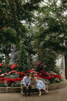 a man and woman sitting on a bench in front of some red flowered bushes