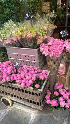 pink flowers in baskets on display at a flower shop