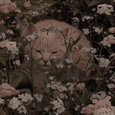 a cat laying in the middle of flowers with its eyes closed and face partially hidden by it's head