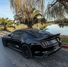 a black sports car parked next to a tree