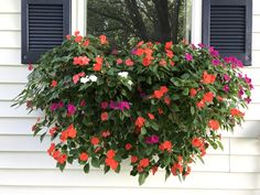 a window sill filled with red and purple flowers