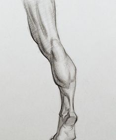 a pencil drawing of a person's leg and foot