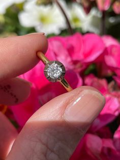 a person holding a ring in their hand with pink flowers behind them on the ground