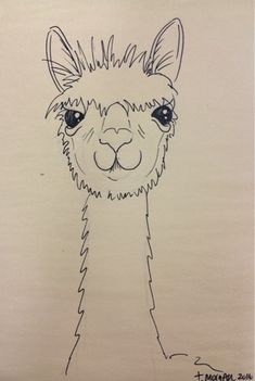 a drawing of an alpaca with blue eyes