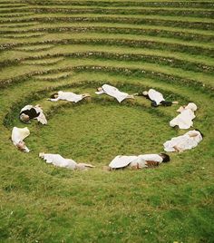 there are people laying on the grass in this circular maze that looks like it has been cut into pieces