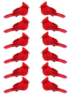 a group of red birds sitting on top of each other in front of a white background