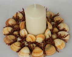 a candle surrounded by sea shells on a white background