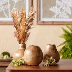 three vases sitting on top of a wooden table next to plants and potted plants