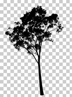 a black and white tree silhouette on a transparent background