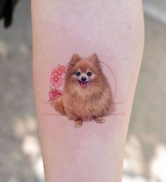 a small pomeranian dog on the left inner forearm and lower leg, with a pink flower in its mouth