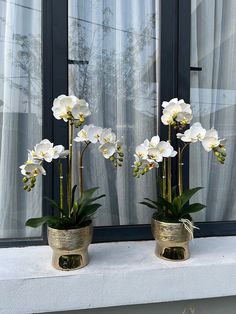 two white flowers in gold pots on a window sill