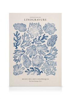 the front cover of an illustrated book with blue and white illustrations on it, including corals