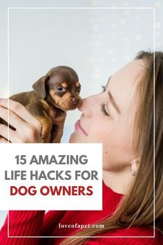 a woman kissing a small dog with the caption 15 amazing life hacks for dog owners