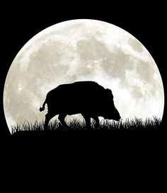 the silhouette of a buffalo grazing in front of a full moon