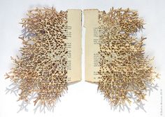 an open book with pages cut out to look like corals